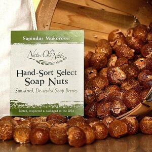 Organic Soap Nuts (Soap Berries) from Himalayas – Natural Laundry Detergent